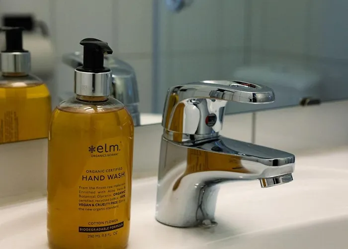 Skata 4* Henningsvær